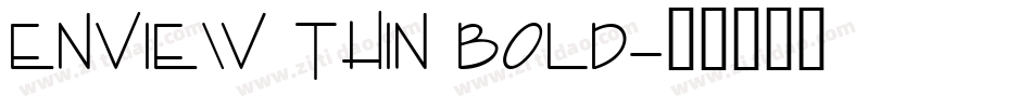 Enview Thin Bold字体转换